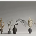 Various Ceramic Vases With Dried Branches Pampas Grass And Feathery Plants 3d model