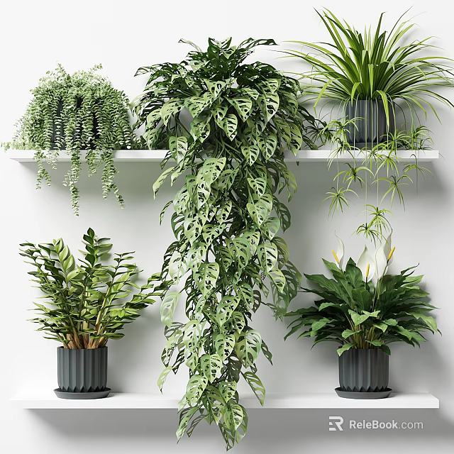 Indoor Potted Plants With Hanging Greenery Lush Leaves And Trailing Vines 3d model 