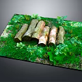 Natural Wooden Logs Placed on Green Mossy Grass with Fresh Leaves