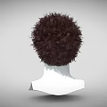 3D Rendered Male Head Bust Model With Curly Hair And Gray Background