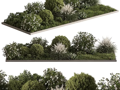 Various Shrubs With Greenery And White Blooms In Garden Landscape Design 3d model
