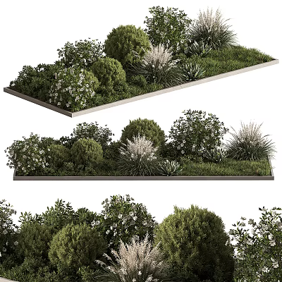 Various Shrubs With Greenery And White Blooms In Garden Landscape Design 3d model