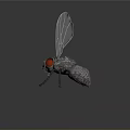 Game Movie Character 3D Rendered Fly With Transparent Wings Red Eyes Metallic Body