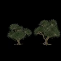 Decorative Tree Ornament Set With Various Styles And Green Foliage For Home Decor