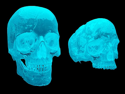 3D Rendered Blue Skull Models Two Angles Front And Side View On Black Background 3d model