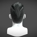 Side Profile Of Man With Short Sides Long Top Ponytail And Beard