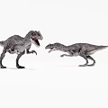 Two Realistic Dinosaur Models Facing Each Other On White Background 3d model