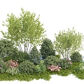 Modern shrub landscape shrub combination 3d model