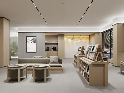 Book Art Studio Interior With Wooden Bookshelves Display Racks And Sofa 3d model