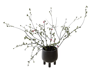 Black Three Legged Vase With Branches Red Berries And Green Leaves For Home Decor 3d model