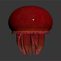 Pink Aquatic Jellyfish With Dome Shaped Body And Tentacles On Reflective Surface