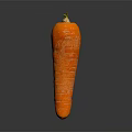 Fresh Orange Carrot with Natural Texture Isolated on Dark Background 3d model