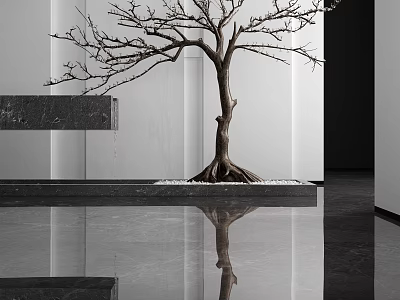 Bare Branch Tree With Exposed Roots In Modern Minimalist Interior Smooth Floor Reflection And Small Stones 3d model