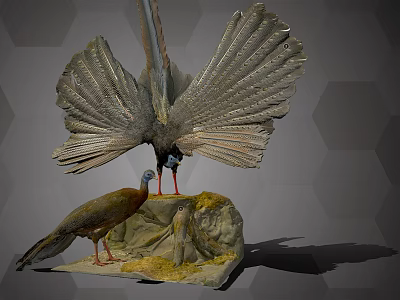 Vibrant Flying Birds With Spread Feathers Standing On Rocky Natural Surface 3d model