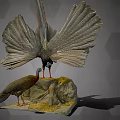 Vibrant Flying Birds With Spread Feathers Standing On Rocky Natural Surface