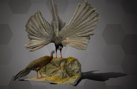 Modern Peacock 3d model