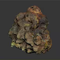 Brightly Colored Coral With Porous Textured Surface In Marine Aquatic Environment