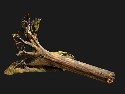 Natural Wood Tree Stump With Moss And Organic Rustic Design Elements 3d model
