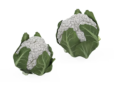 Fresh Cauliflower Heads With Green Leaves And White Florets On White Background 3d model