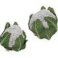 Fresh Cauliflower Heads With Green Leaves And White Florets On White Background