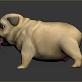 Cute Light Brown Pug Dog With Big Eyes And Tongue Sticking Out On Dark Background