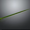 Green Yellow Striped Snake With Long Slender Body And Red Head Isolated On Gray Background