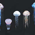 Jellyfish Shaped Decorative LED Lights With Multiple Colors And Modern Design For Indoor Ambient Hanging