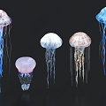 Jellyfish Luminous Jellyfish Marine Life 3d model