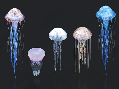 Jellyfish Luminous Jellyfish Marine Life 3d model