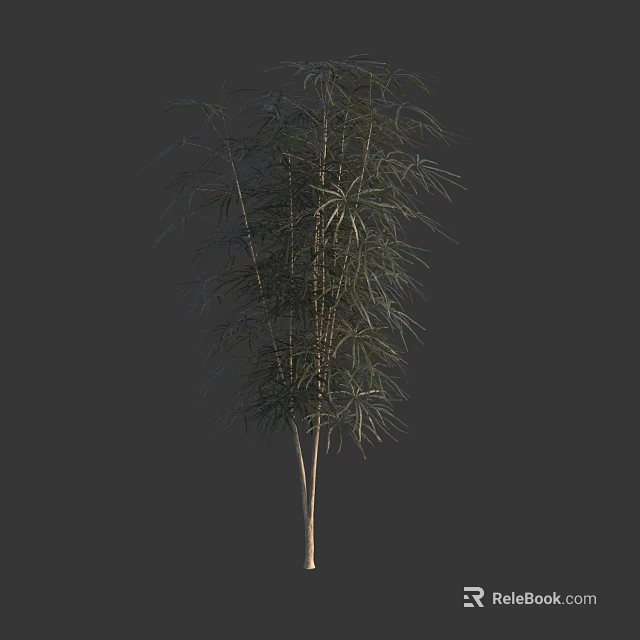 Attractive Green Shrub With Dense Foliage And Slender Branches For Garden Landscaping 3d model 