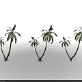 Six Coconut Trees With Curved Trunks And Green Leaves On Black Background With Bottom Lighting