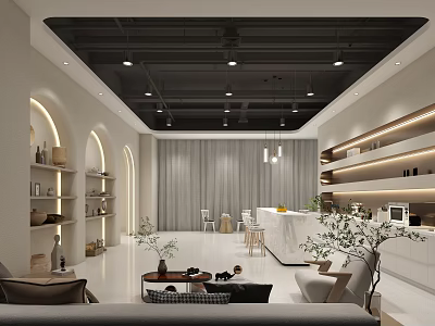 Elegant Modern Break Room Interior With Sofa Coffee Table Shelves And Green Plants 3d model