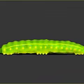 Vibrant Green Caterpillar With Yellow Spots On Dark Reflective Surface 3d model
