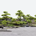Japanese Garden Features With Pruned Pine Trees Raked Sand Stones Moss and Bamboo Fence