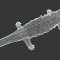Aquatic Animal With Brown Black Spotted Body Long Tail And Four Limbs Structure