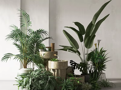 Lush Indoor Potted Plants Arrangement With Various Green Species And Stone Containers 3d model