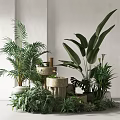 Lush Indoor Potted Plants Arrangement With Various Green Species And Stone Containers