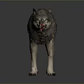 Realistic 3D Wolf Model With Detailed Fur Open Mouth And Sharp Teeth 3d model