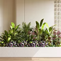Various Green Plants And Purple Flowers In White Planter On Light Background Wall With Grid Decor