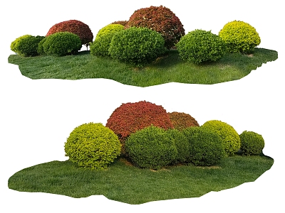 green plant shrub model