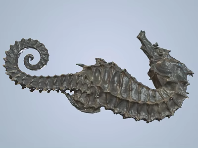 Unique Detailed Seahorse Sculpture With Spiral Tail And Textured Body Design 3d model