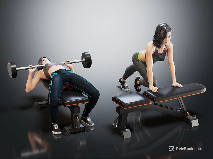 Two Women Doing Fitness Workout With Gym Equipment 3d model 