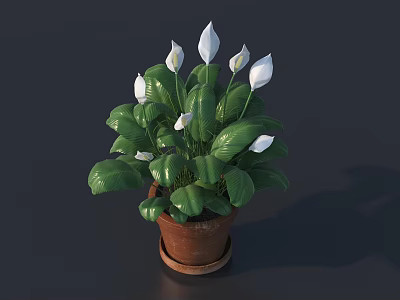 Green Leafy Potted Plant With White Flowers In Brown Clay Pot 3d model