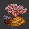 Underwater Scene Of Purple Marine Animal On Orange Shell With Red Coral Like Structure