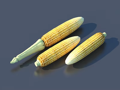 Three Fresh Yellow White Corn Cobs with Green Husks on Gray Surface 3d model