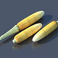 Three Fresh Yellow White Corn Cobs with Green Husks on Gray Surface