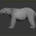 Detailed 3D Polar Bear Model with White Fur Standing on Dark Background and Open Mouth