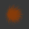 Tall Wispy Decorative Grass With Green And Gold Foliage On Black Background