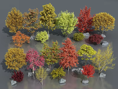 Diverse Colored Arbor Trees With Various Leaf Shades And Decorative Stones 3d model