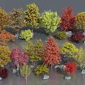 Diverse Colored Arbor Trees With Various Leaf Shades And Decorative Stones